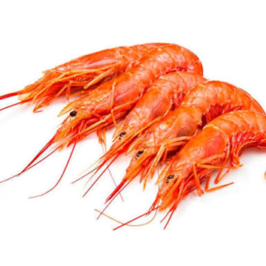 Gamba langostinera (pleoticus muelleri)
