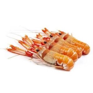 Cigala (Nephrops norvegicus)