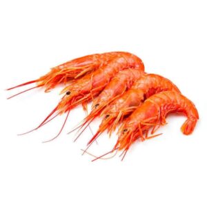 Gamba langostinera (pleoticus muelleri)
