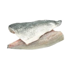 Dorada filete (sparus aurata)