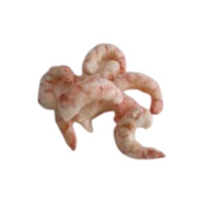 Cola de gambón pelado y desvenado (pleoticus muelleri)