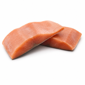Salmón rosado (oncorhynchus gorbuscha)
