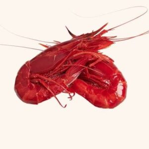 Carabinero · Brillante (Plesiopenaeus edwardsianus)