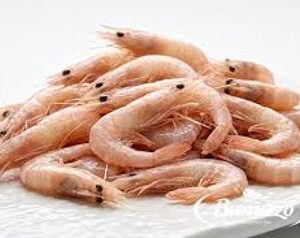 Gamba blanca de Huelva (Parapenaeus longirostris)