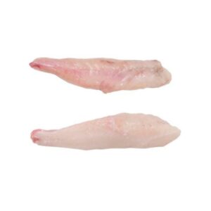 Lophius litulon (filete de rape de china PBO)