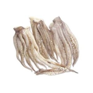 Illex argentinus (rejos de pota)