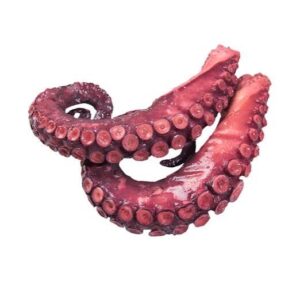 Pulpo pata cocida (octopus vulgaris)