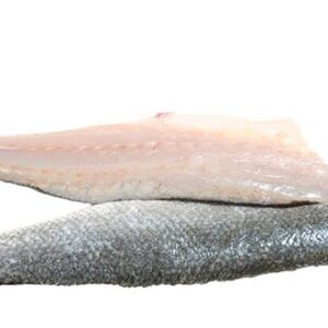 Lubina filete (dicentrarchus labrax)